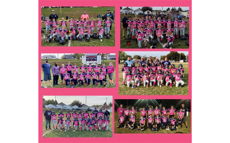 2020 Dallastown Cougars Pinkout Games!